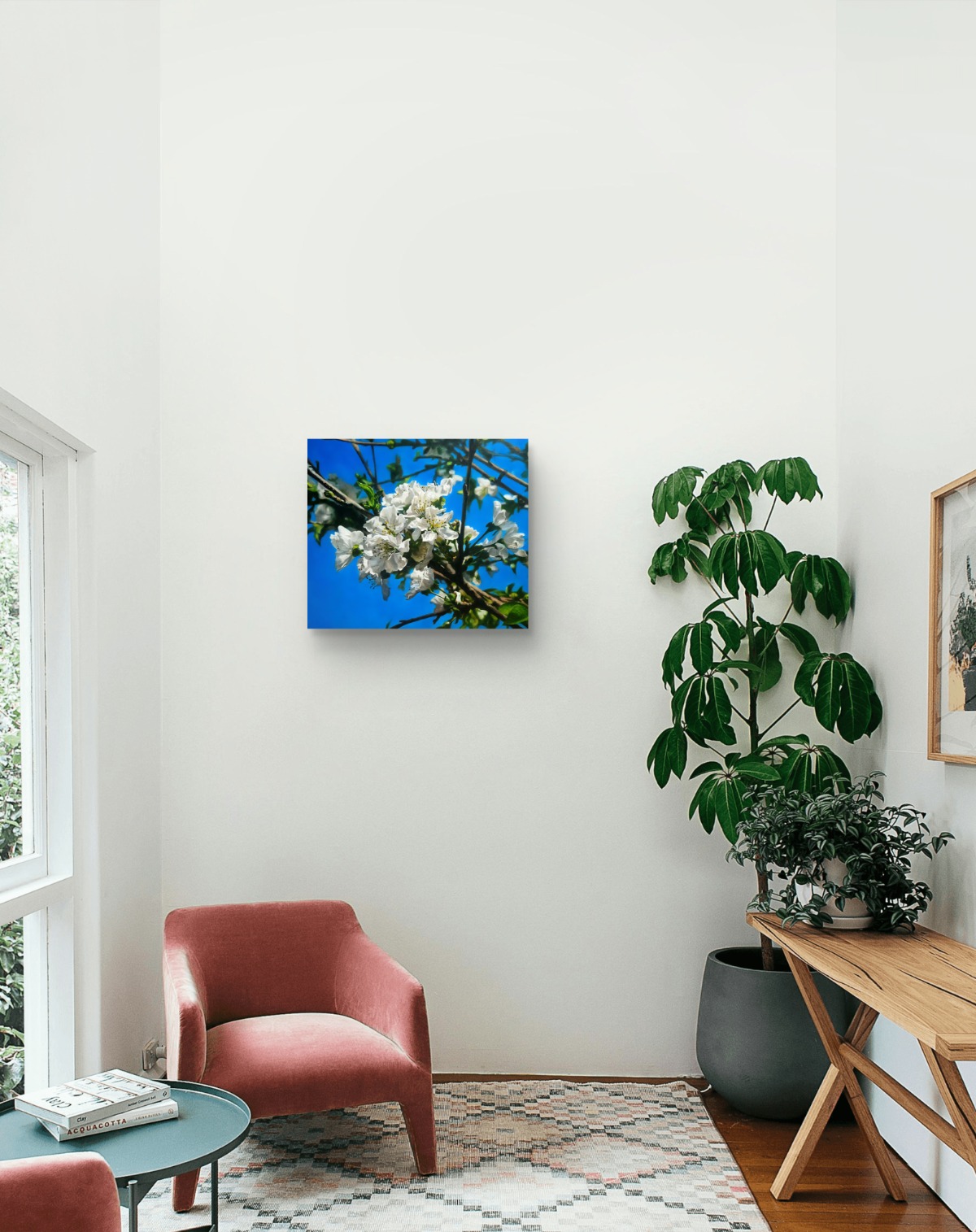 KakaoTalk_20260125_192605703